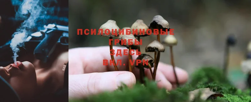 Псилоцибиновые грибы MAGIC MUSHROOMS  Муравленко 